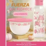 Catálogo TUPPERWARE Tips 10 2025 PDF |Septiembre catalogo tupperware campaña 10 2025